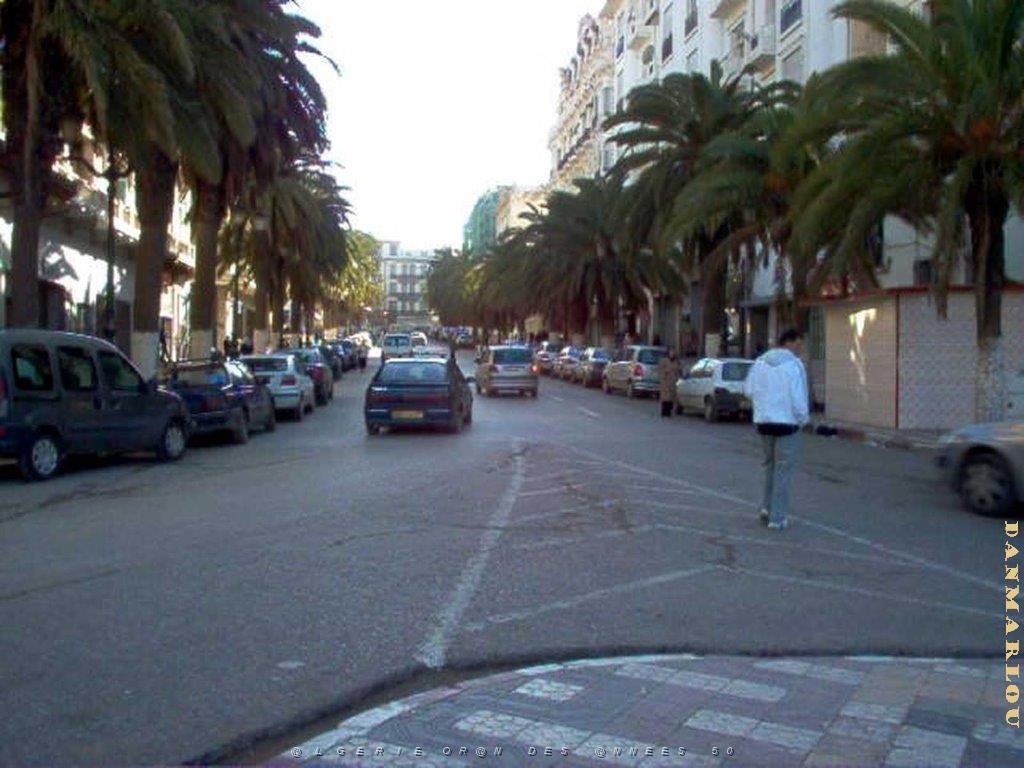 Algerie avril2005 007.jpg